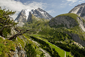 Alpes.jpg